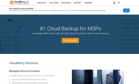 Cloudberrylab.com Server Backup